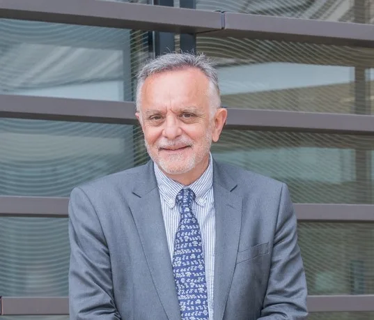 Manel del Castillo